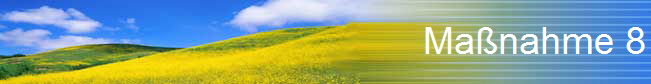Ma�nahme 8