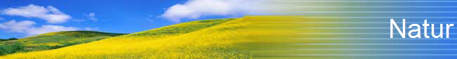 Natur