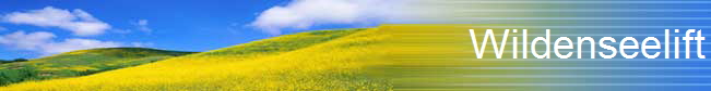 Wildenseelift