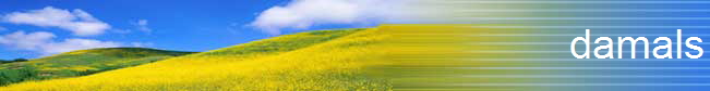 damals